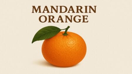 Mandarin Orange: Nature’s Sweet, Citrus Treasure Mandarin Orange