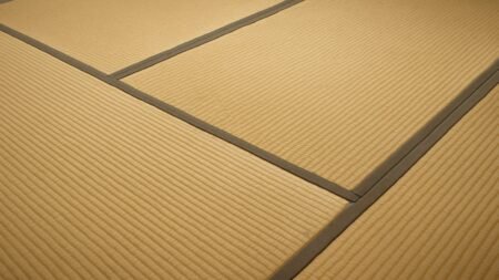 Mats Tatami