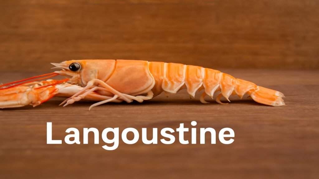 Langoustine