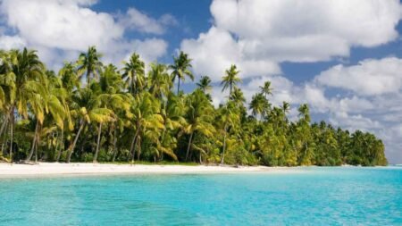 Deserted Island: Survival, Lessons, and Imagination Deserted Island