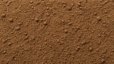 Sandy Loam: The Ideal Soil for Healthy Plant Growth Sandy Loam