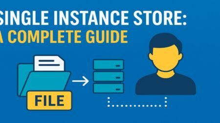 Single Instance Store: A Complete Guide Single Instance Store