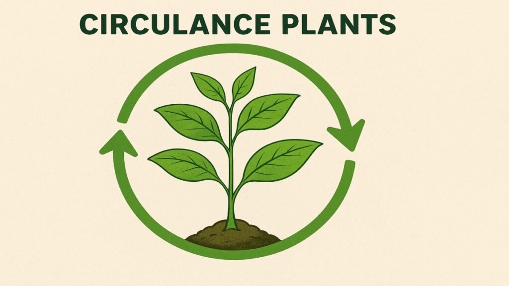 Circulance Plants