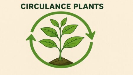 Circulance Plants